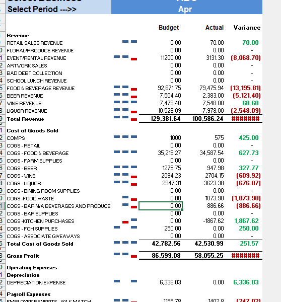 Bank reconciliations, bookkeeping, financial statements, forecasts, variance analysis, data clean-up